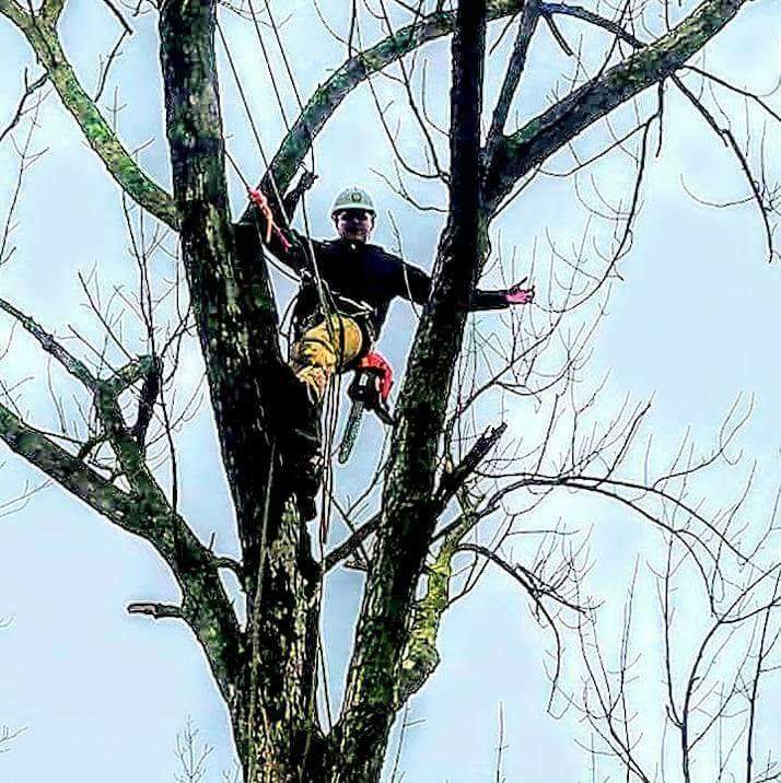 Avatar for HRM tree service & Landscaping