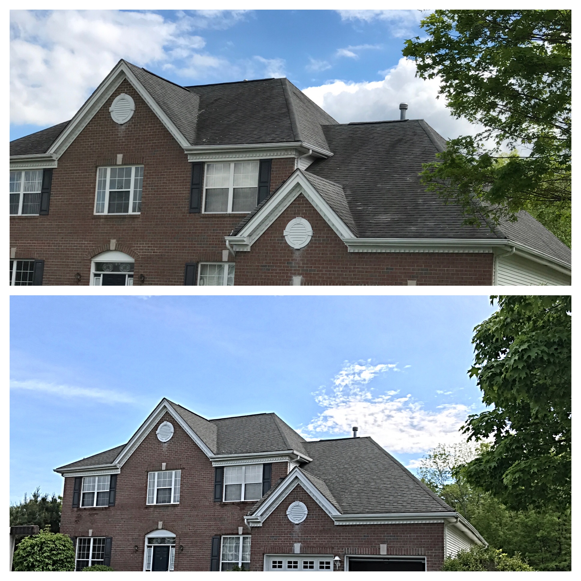 McDundee Roof & Exterior Softwashing logo