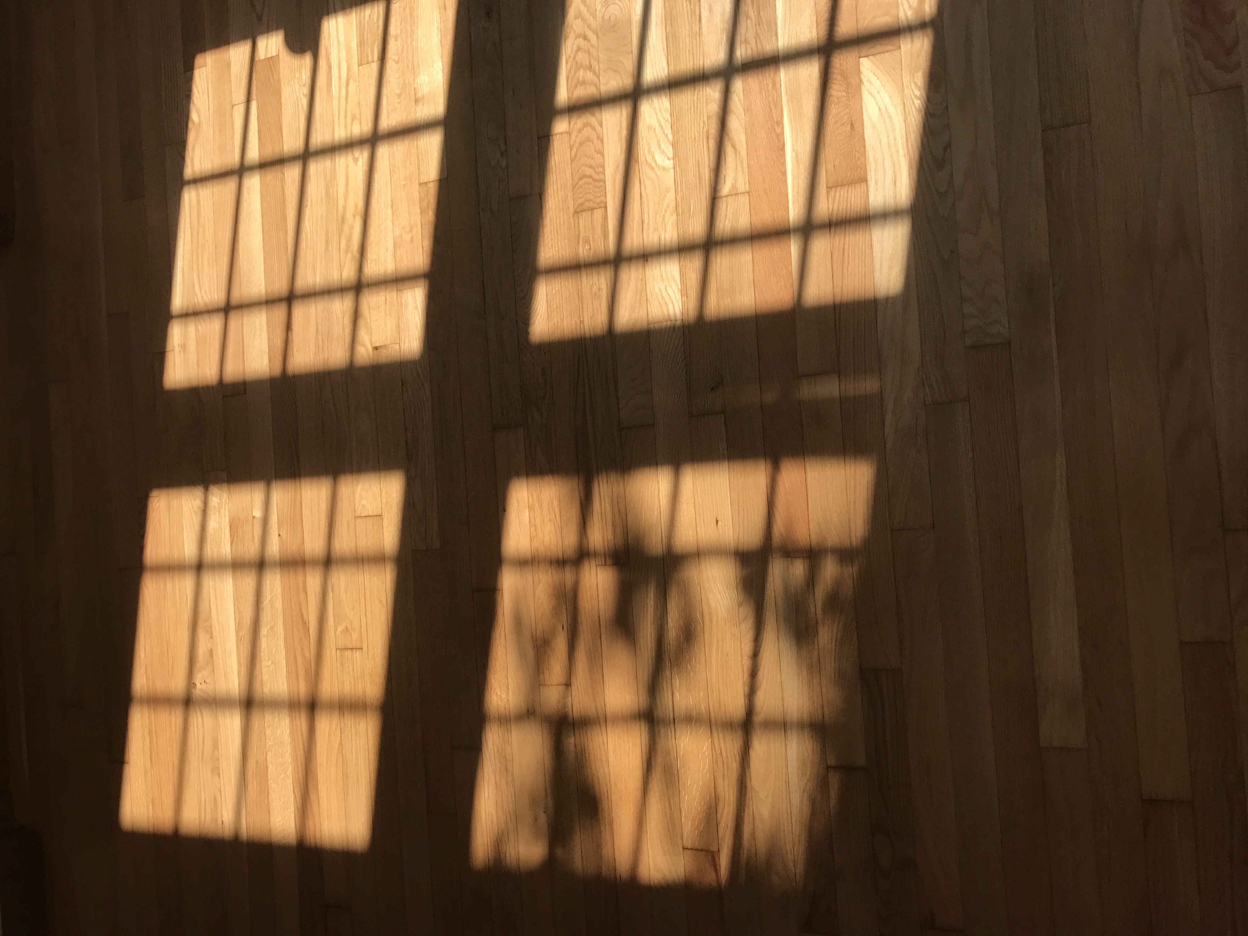 Avatar for Magnolia Wood Flooring
