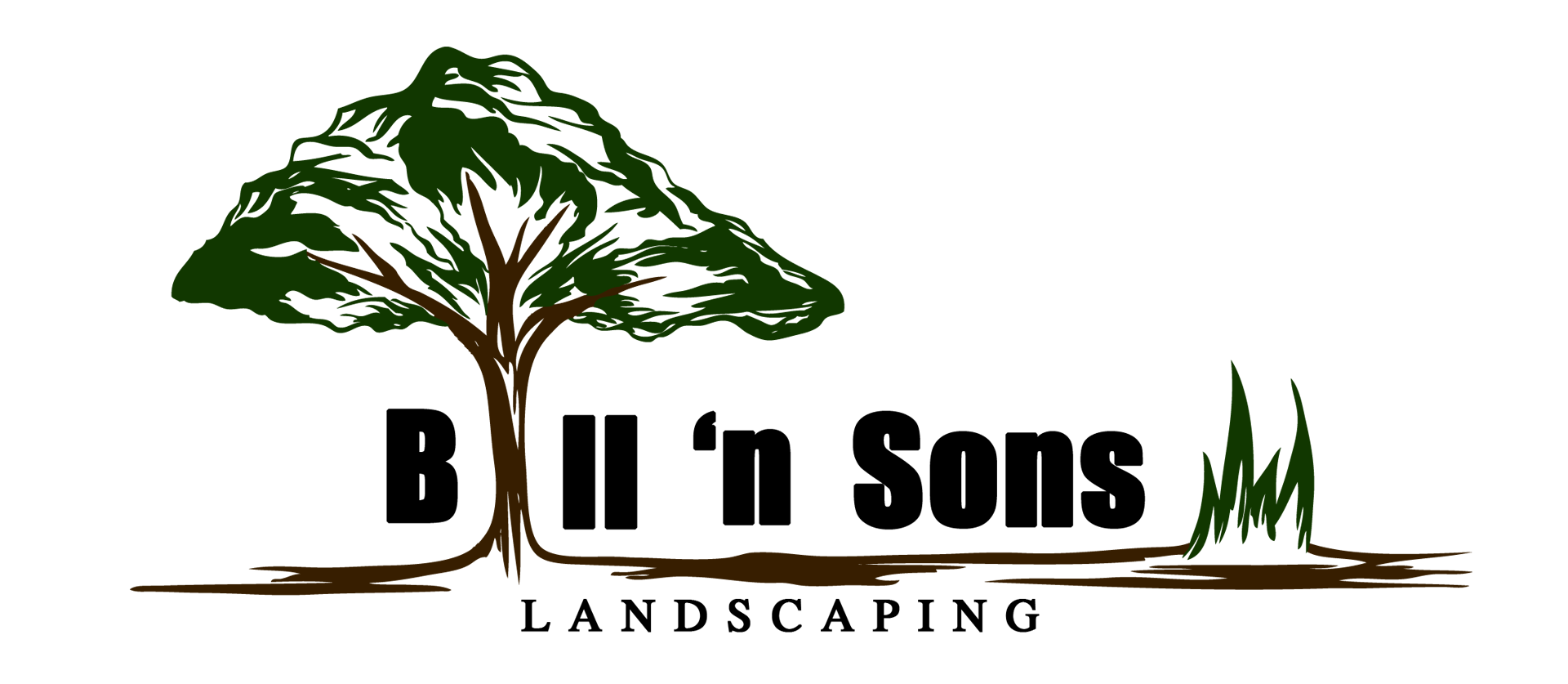Bill 'n Sons Landscaping logo