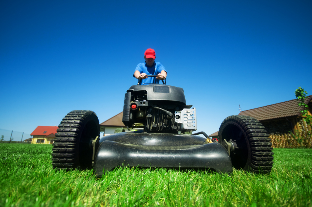 Tarheel Lawn Service logo