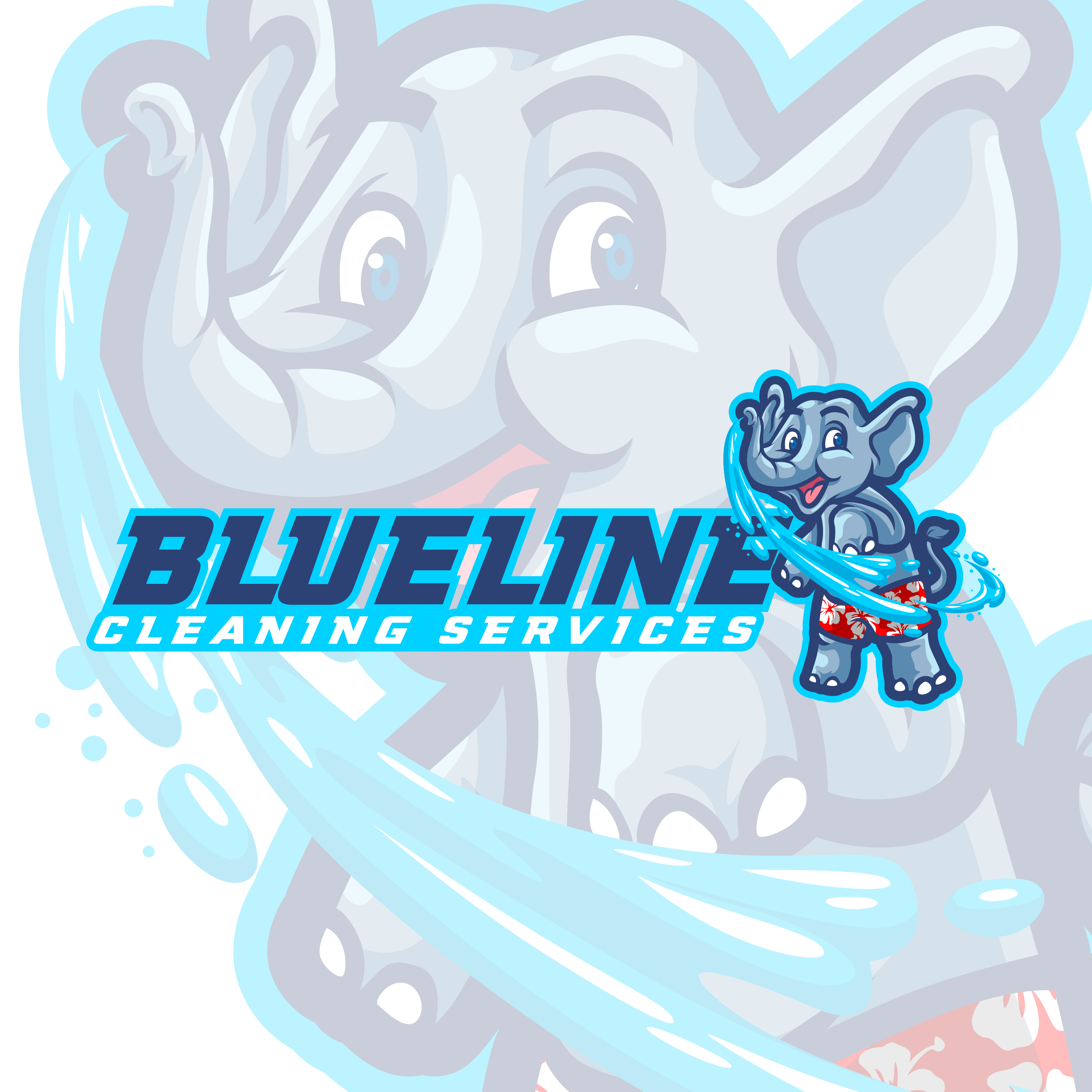 BlueLine Pressure Washing & Auto Detailing logo