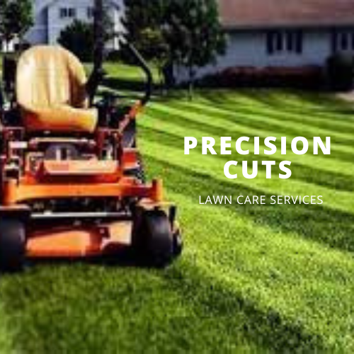 Precision Cuts logo