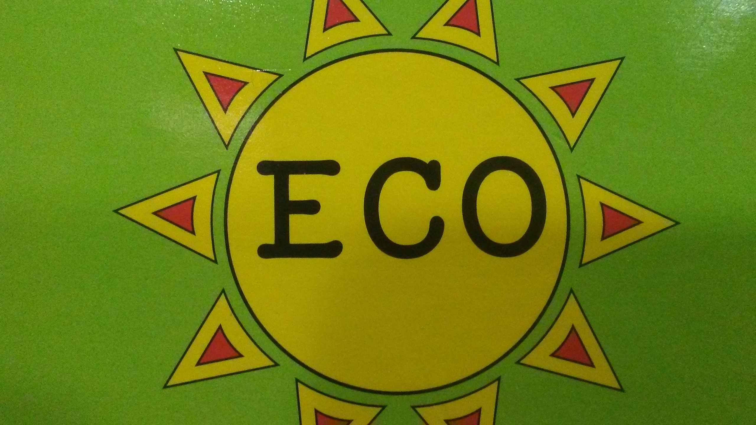 Eco Home Services logo