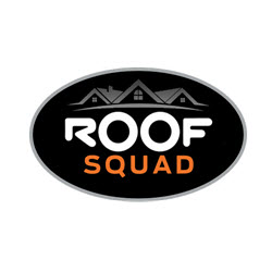 Avatar for Roof Squad