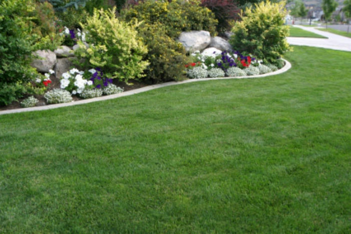 Clarys Cuts Landscaping logo