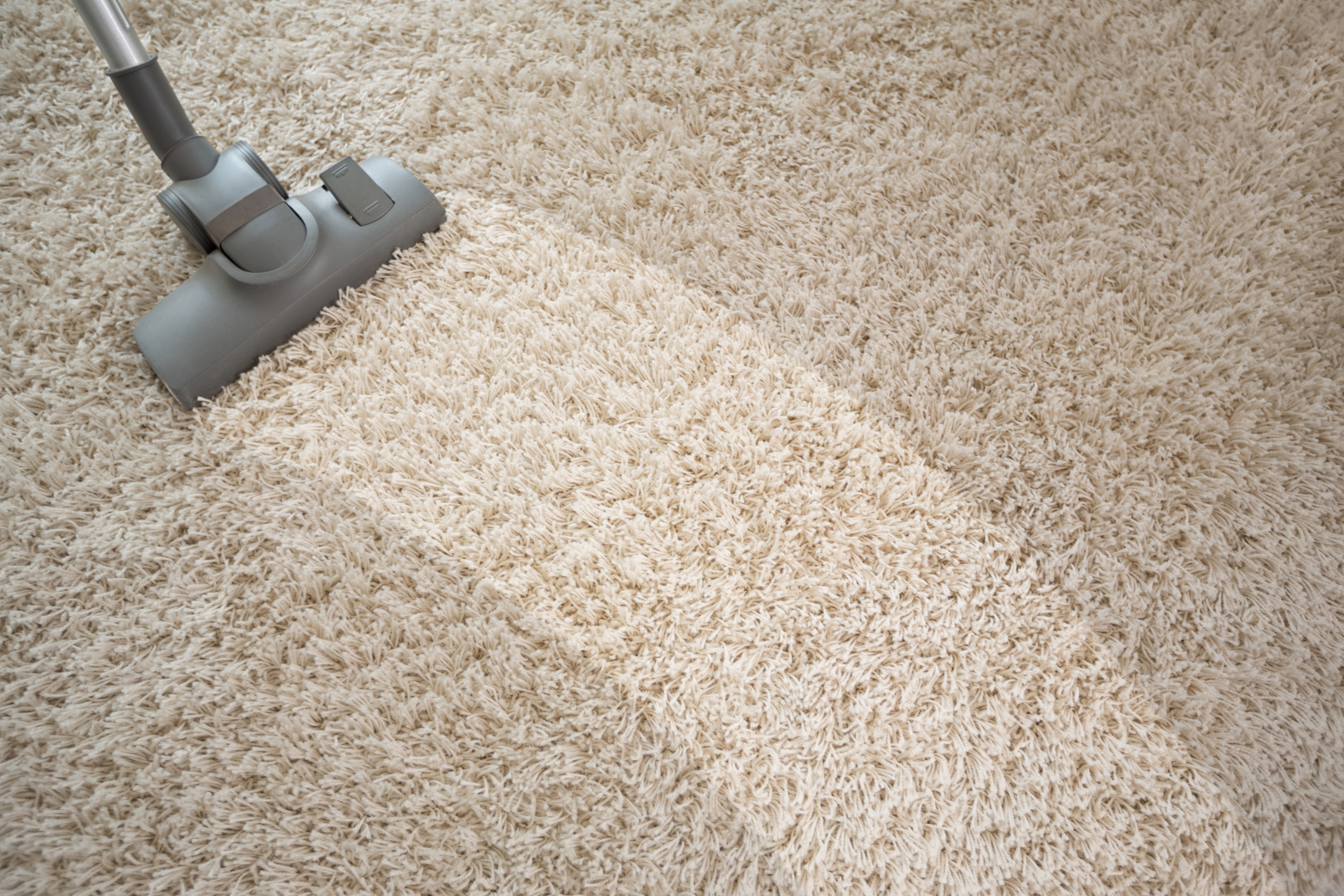 Avatar for Professional Carpet Cleaning