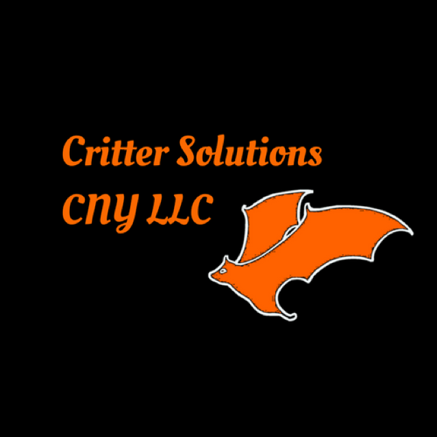 Critter Solutions CNY LLC logo