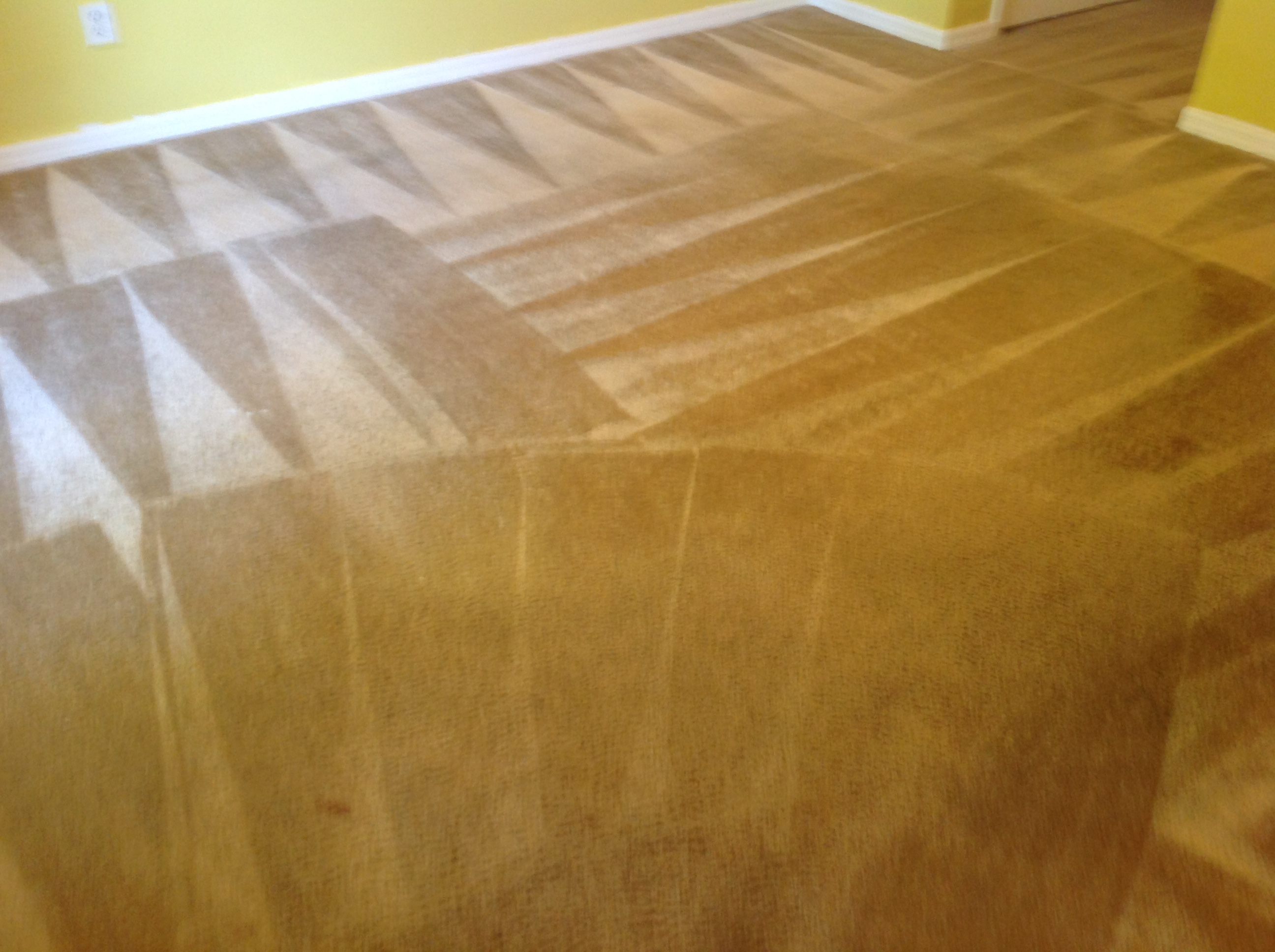 DK Custom Carpet Cleaning & Floor Care logo