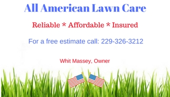 Avatar for All American Lawn care