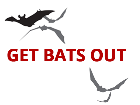 Avatar for Get Bats Out Vista