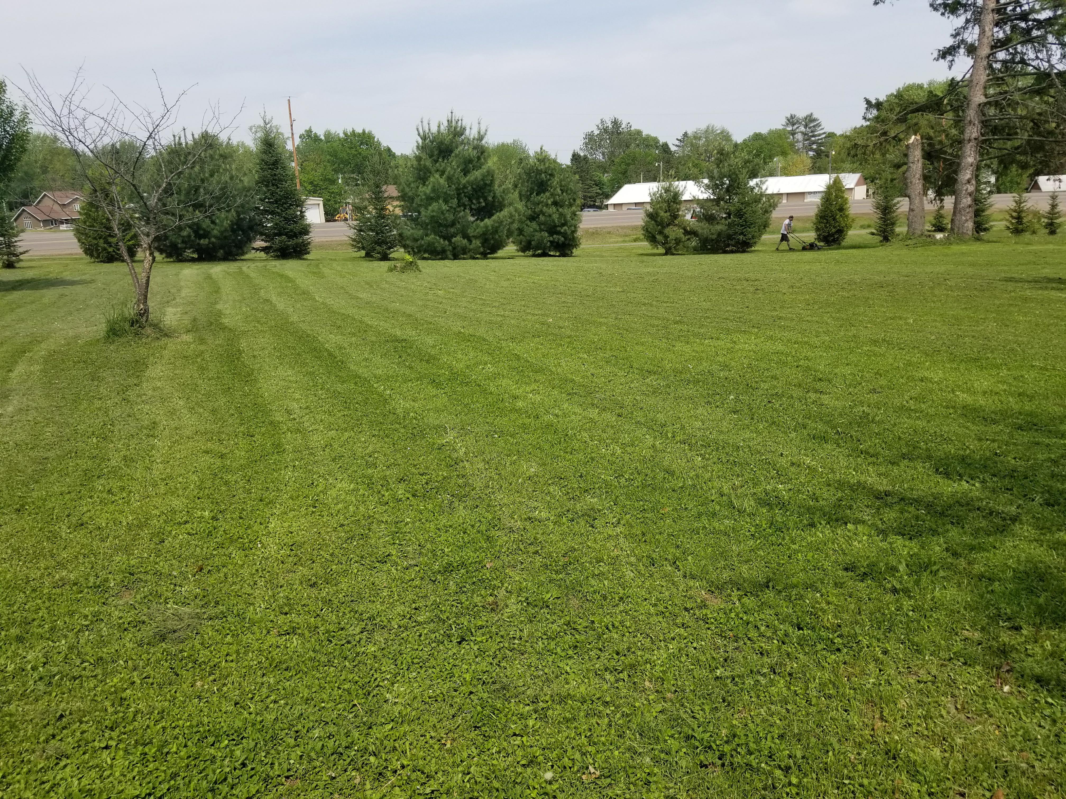 Lawn's by James logo