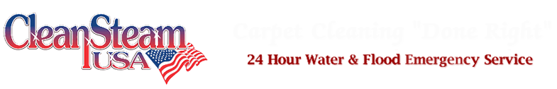 Avatar for Clean Steam USA
