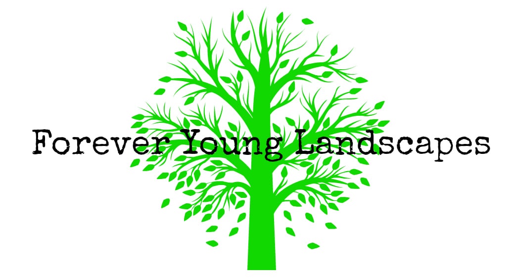 Forever Young Landscapes, LLC logo