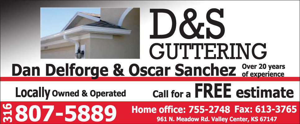 Logo for D&S Gutters