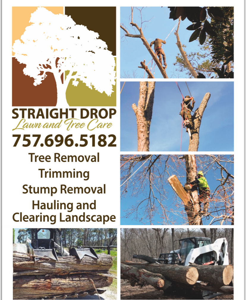 J&T tree care logo