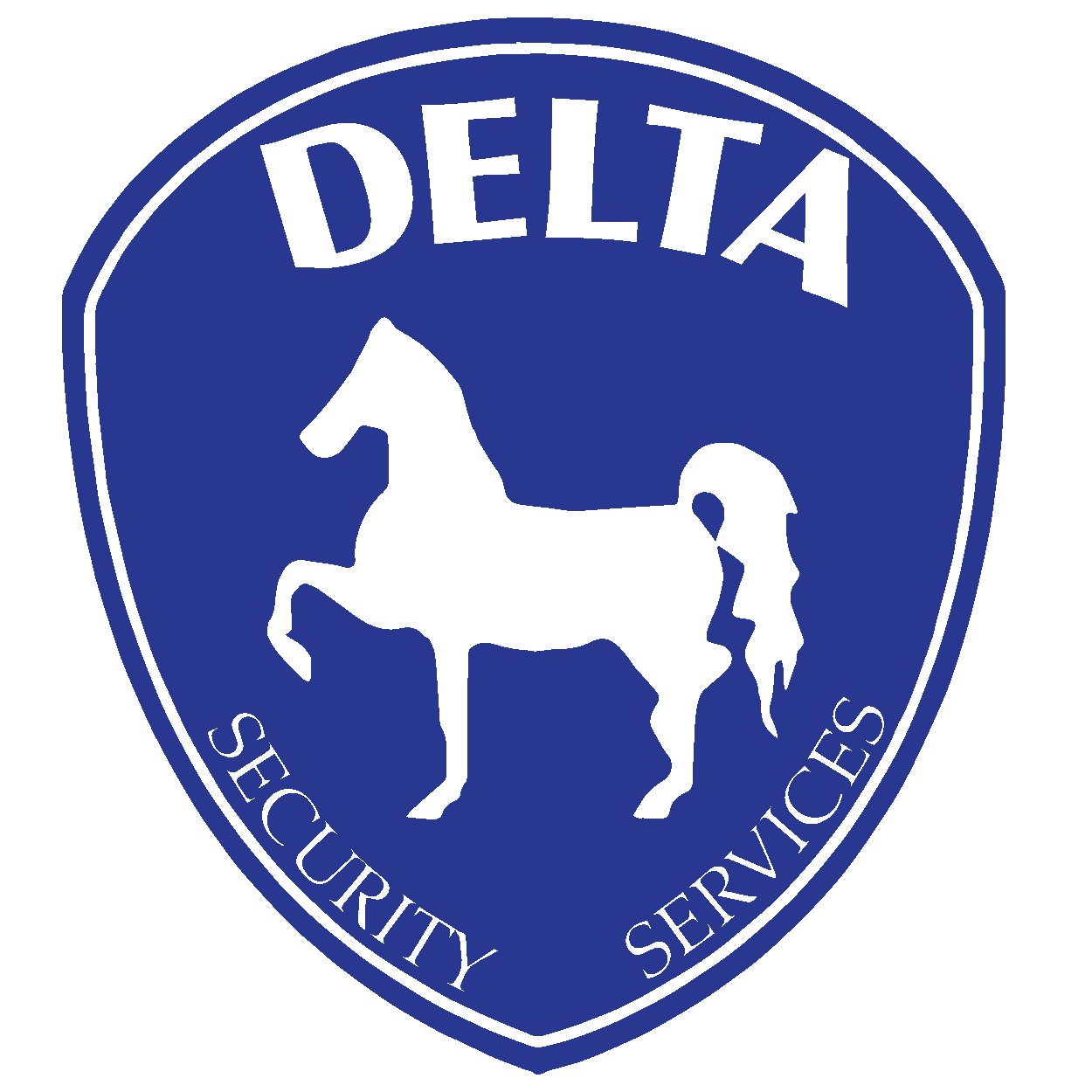 DELTA SECURITY SERVICES LLC logo