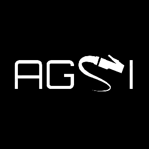 AGS Interconnect logo
