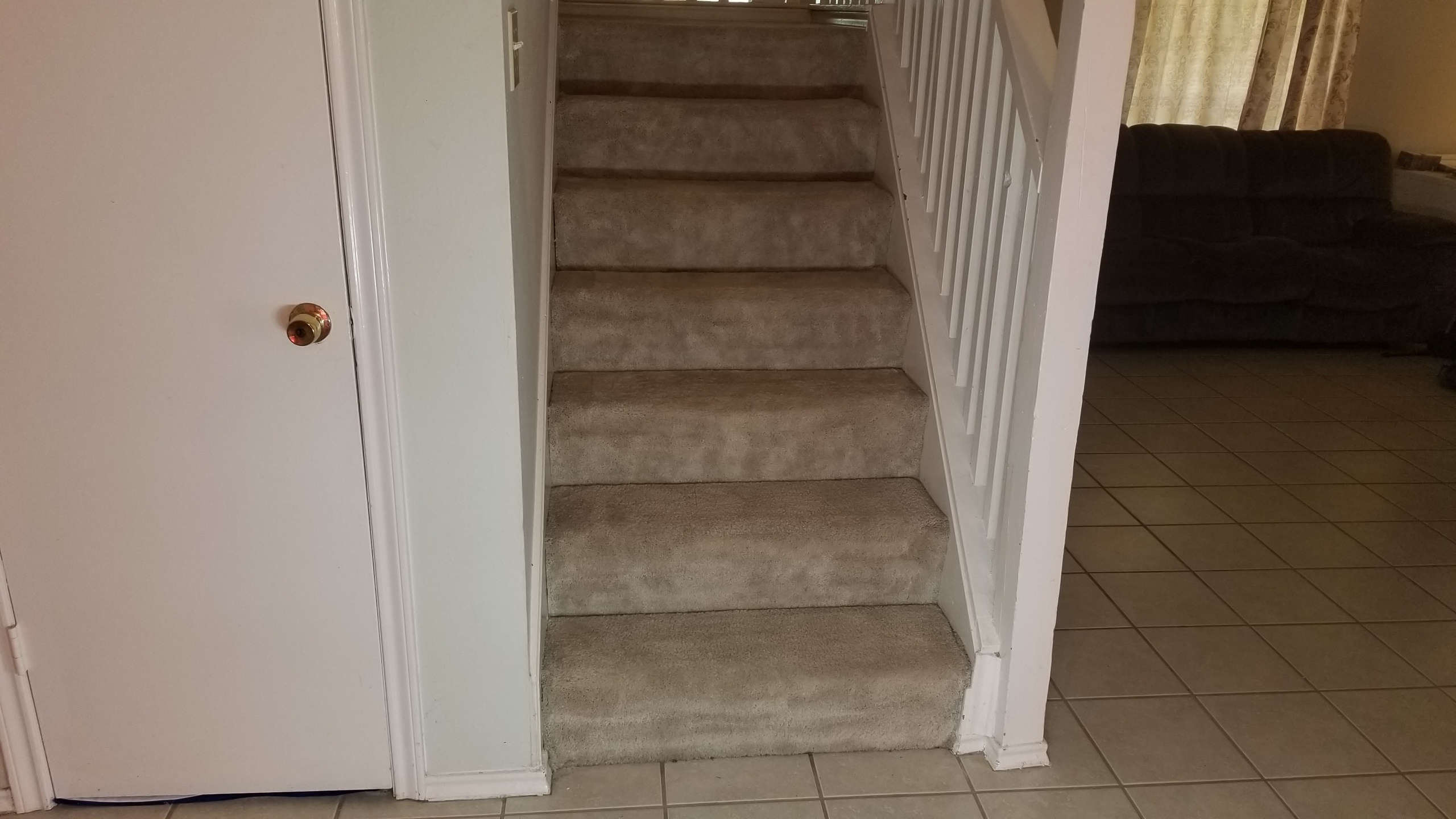 SPECIAL CARPET CLEANING logo