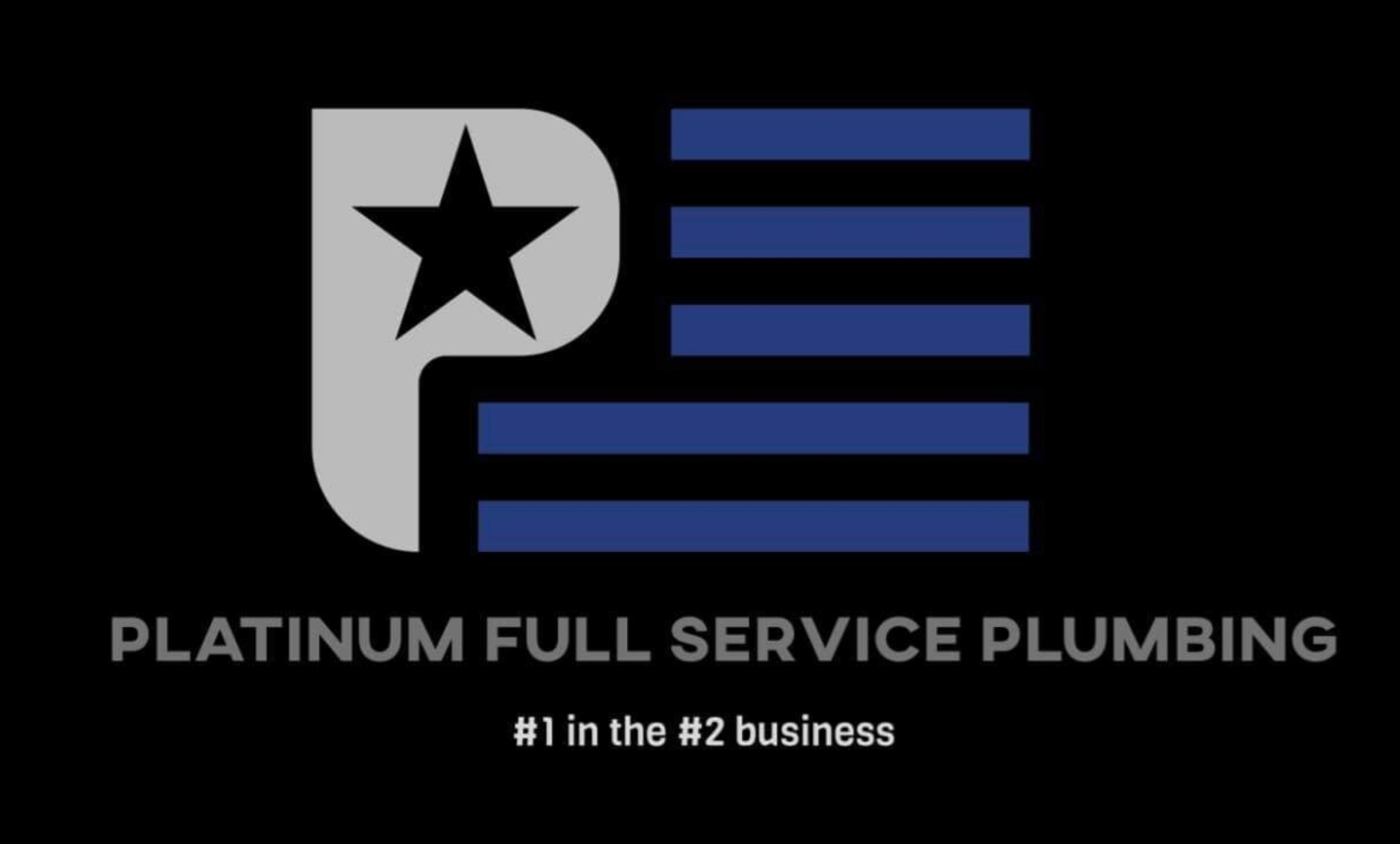 Platinum Plumbing LLC logo