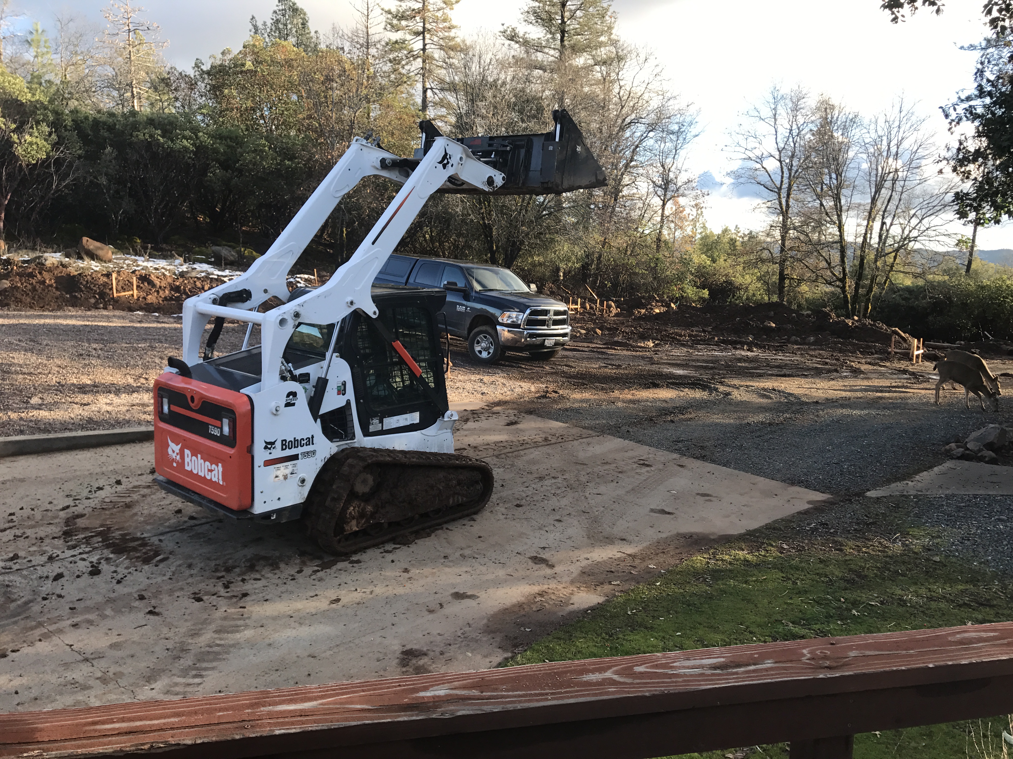 LJs  Landscaping logo