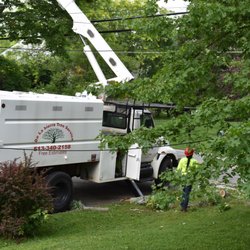 De La Sierra Tree Service LLC logo