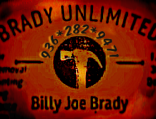 Brady UNLIMITED logo