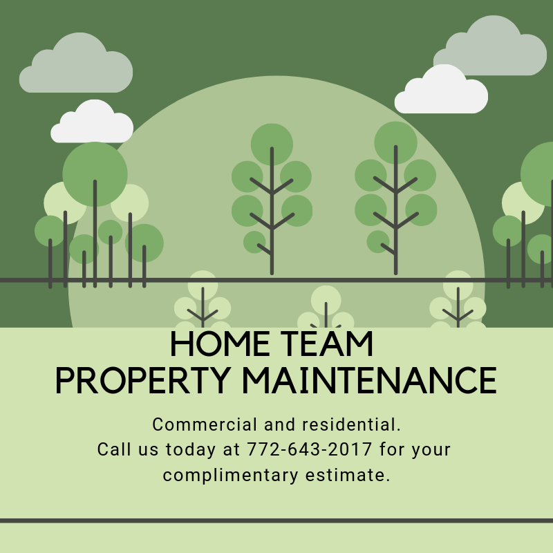 Home Team Property Maintenance logo