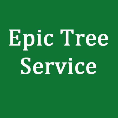 Epic Tree Service logo