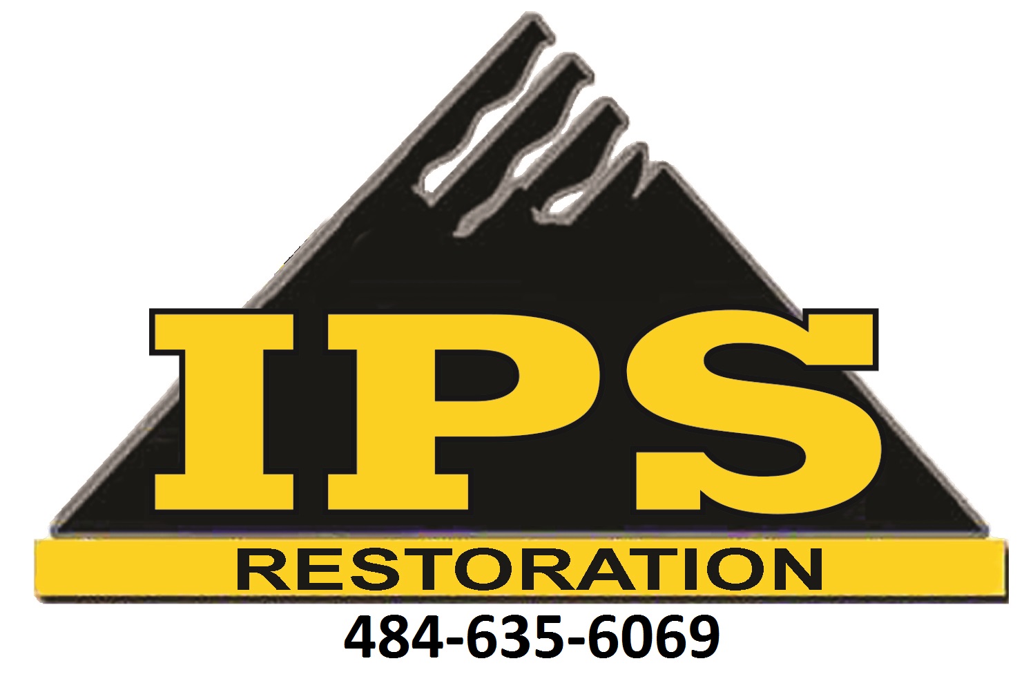 IPS Restoration logo