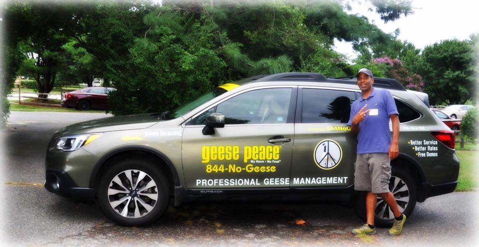 Geese Peace LLC logo