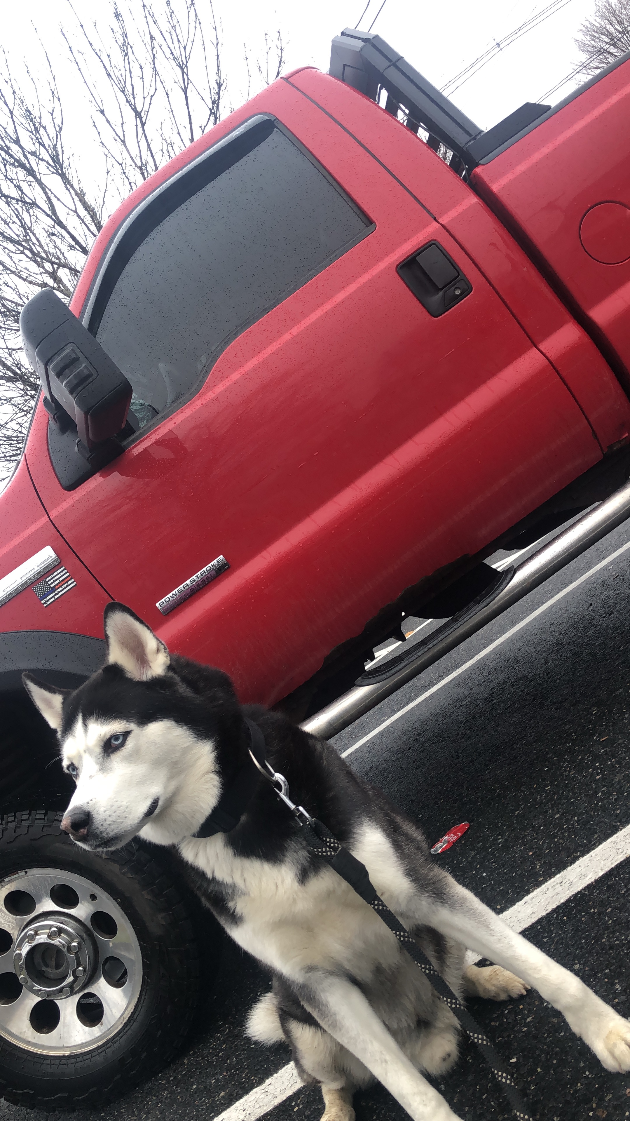 Avatar for Filipe Services