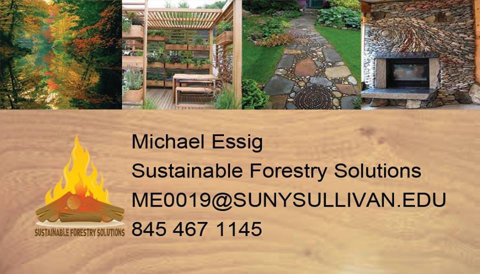 Sustainable Forestry Solutions logo