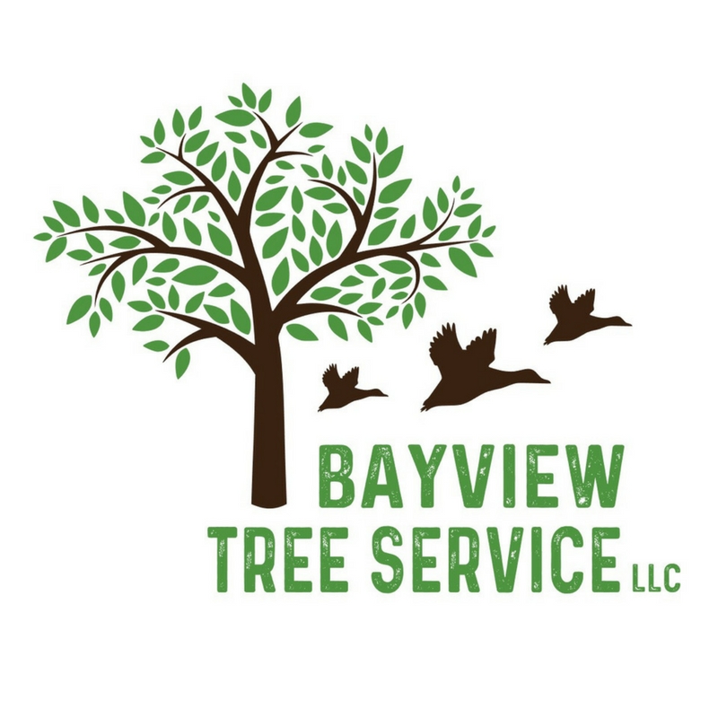 Bayview Tree Service logo