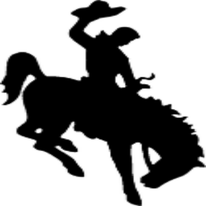 Logo for Bucking garage door service
