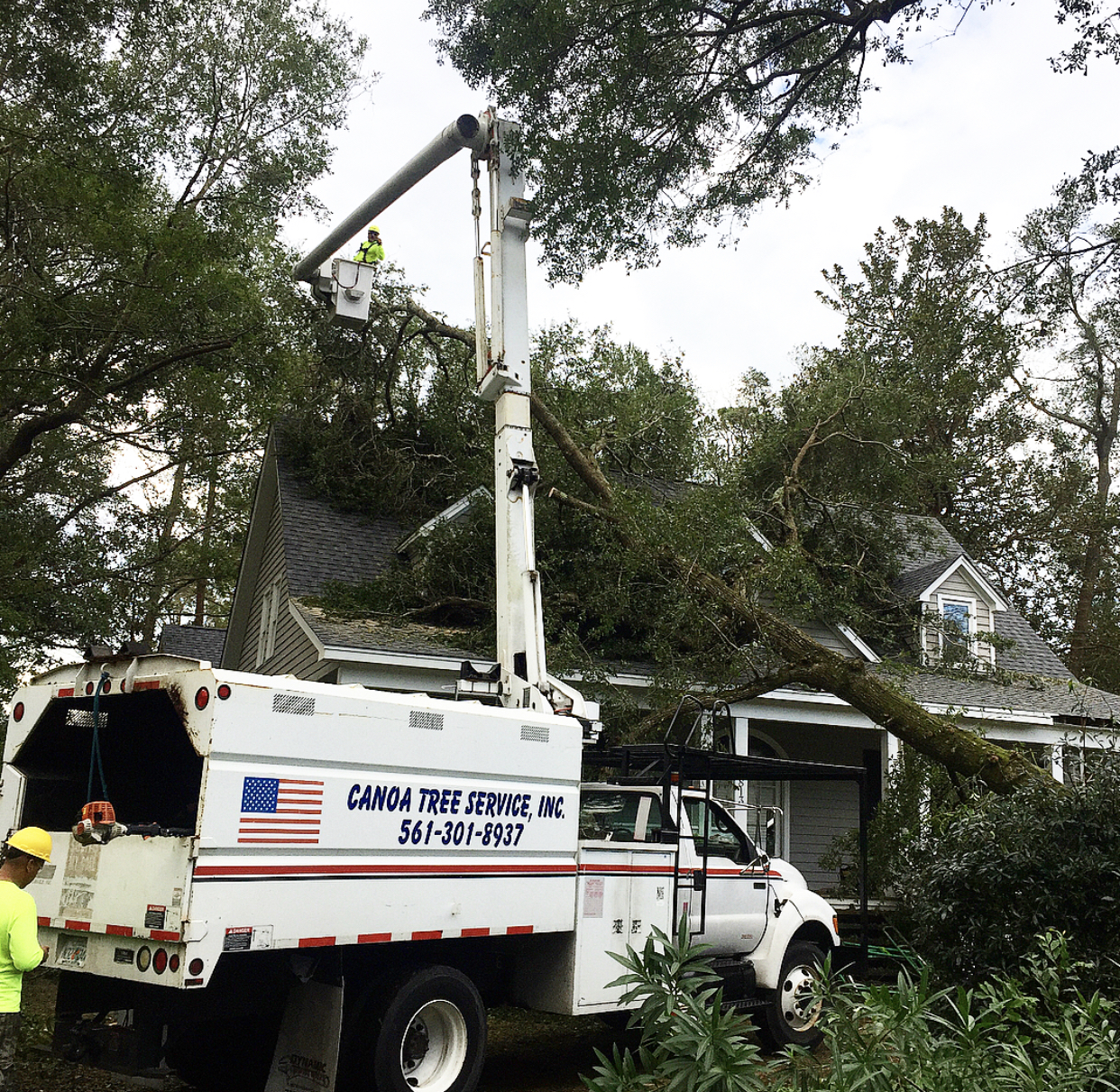 Canoa Tree Service logo