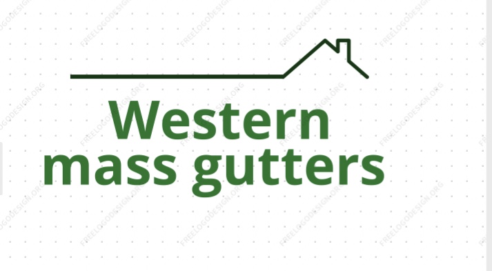 Avatar for Western mass gutters
