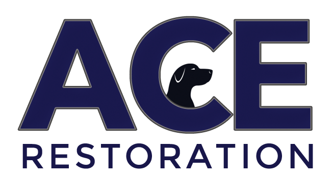 ACE Restoration logo