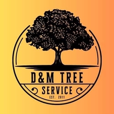 Avatar for D & M Tree Service