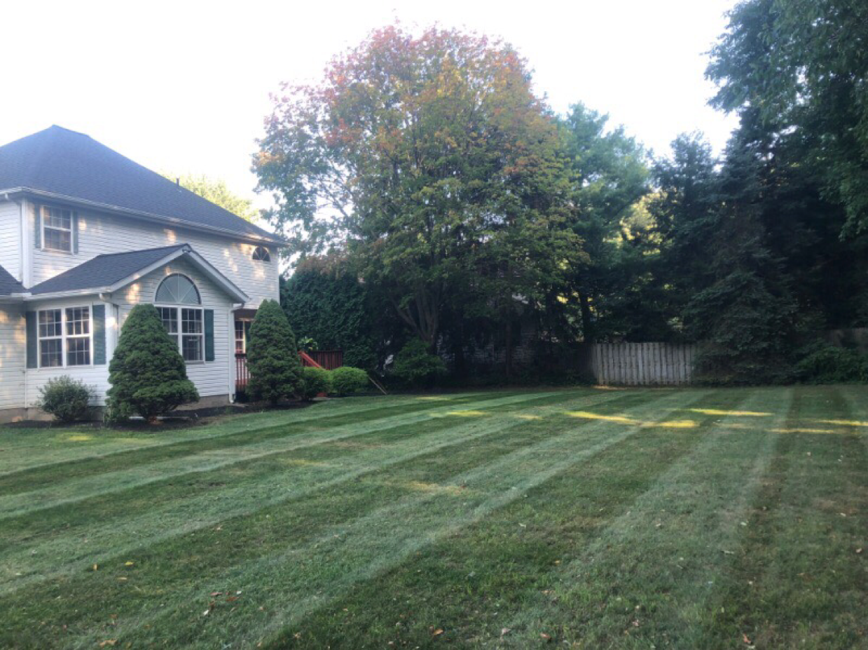 Teachout Landscaping LLC logo