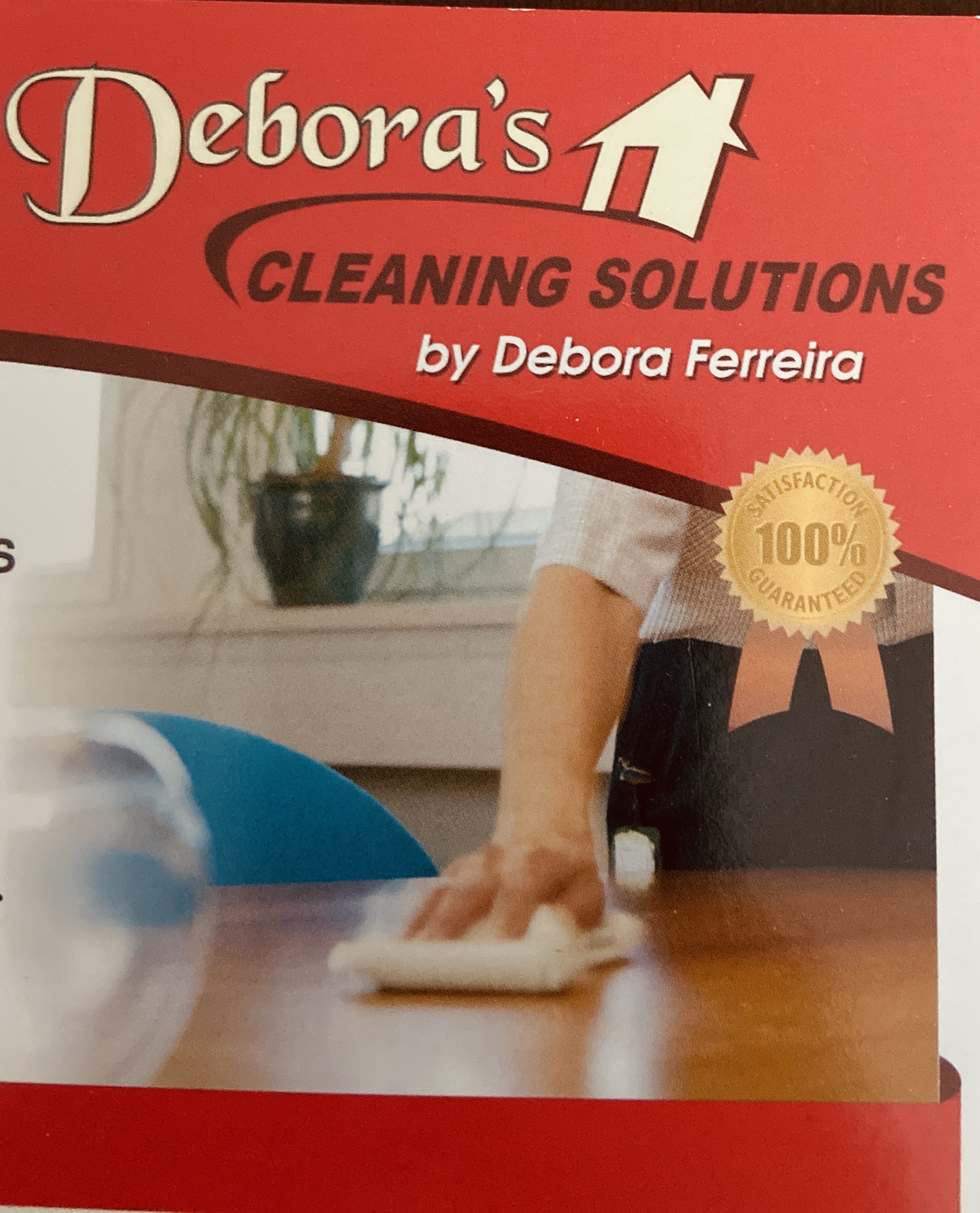 Debora's Cleaning and WSP Landscaping Solutions logo