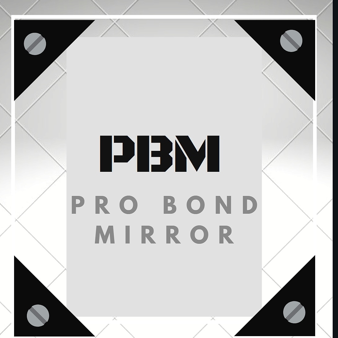 Pro-Bond Mirror logo