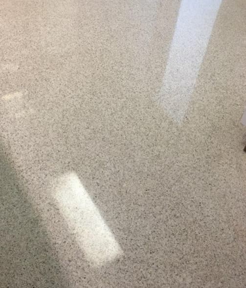 Queen Of Floors logo