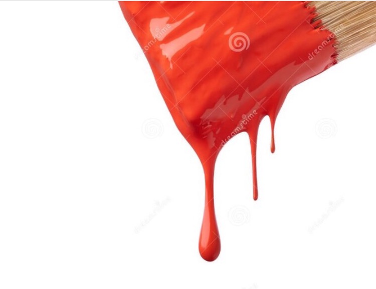Pro Painters Inc logo