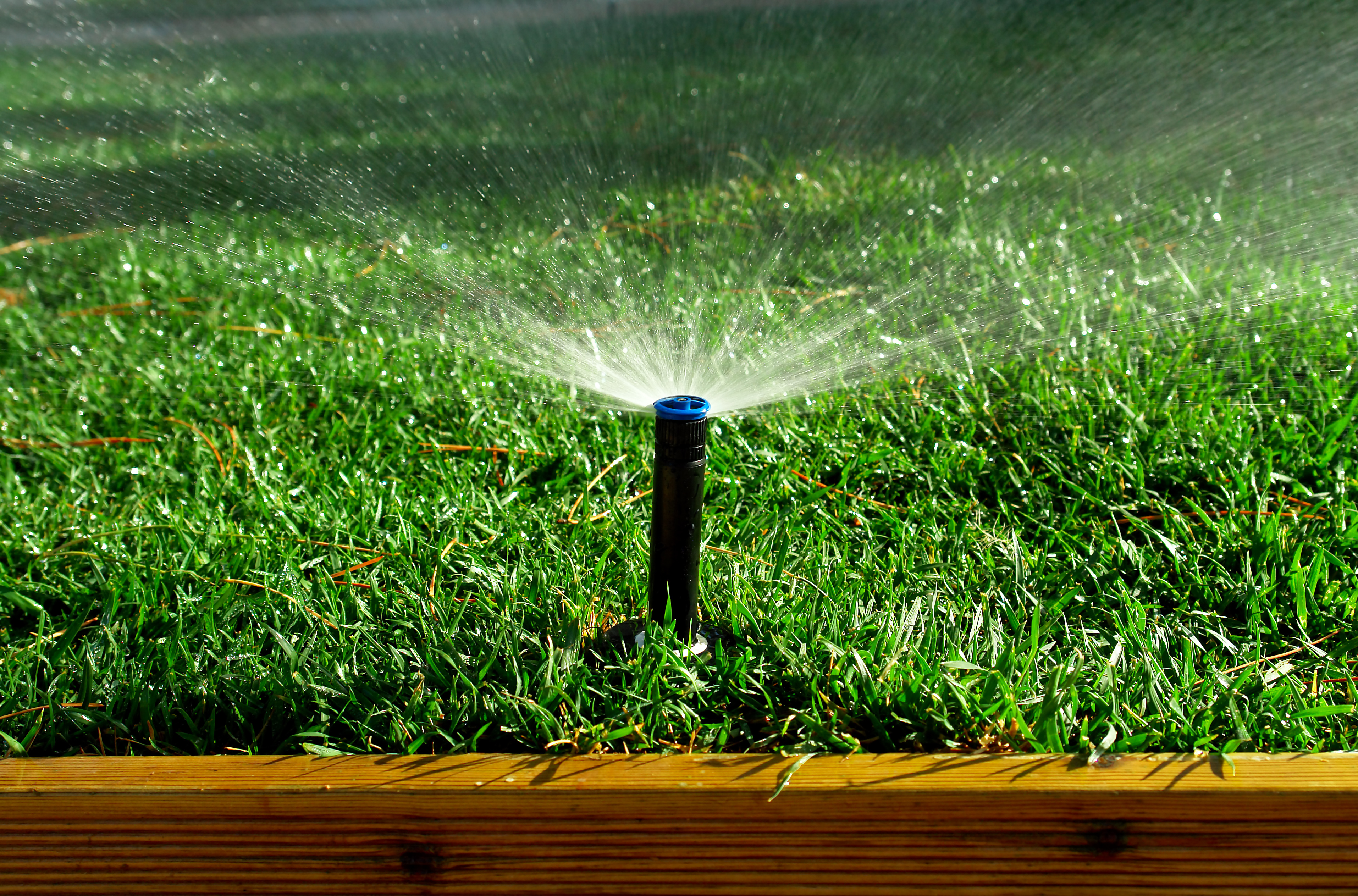 Avatar for 483 Landscaping, LLC
