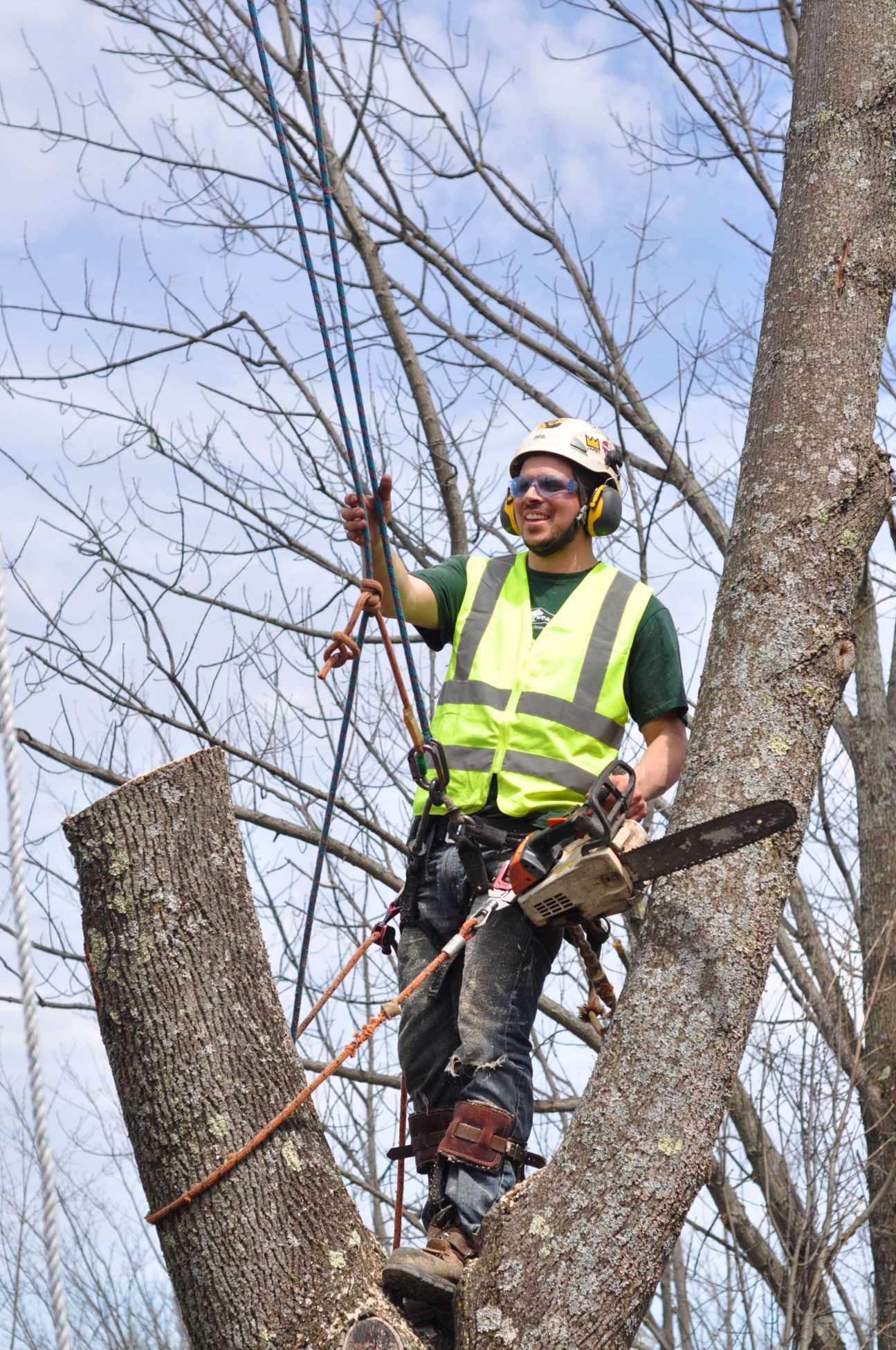 Treemaster LLC logo