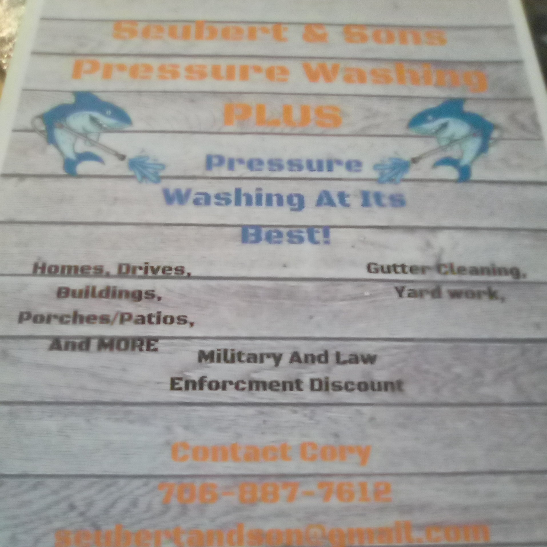 Seubert and Sons Pressure Washing Plus logo