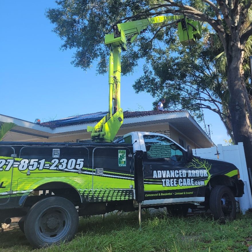 Advanced Arbor Professional Tree Care logo