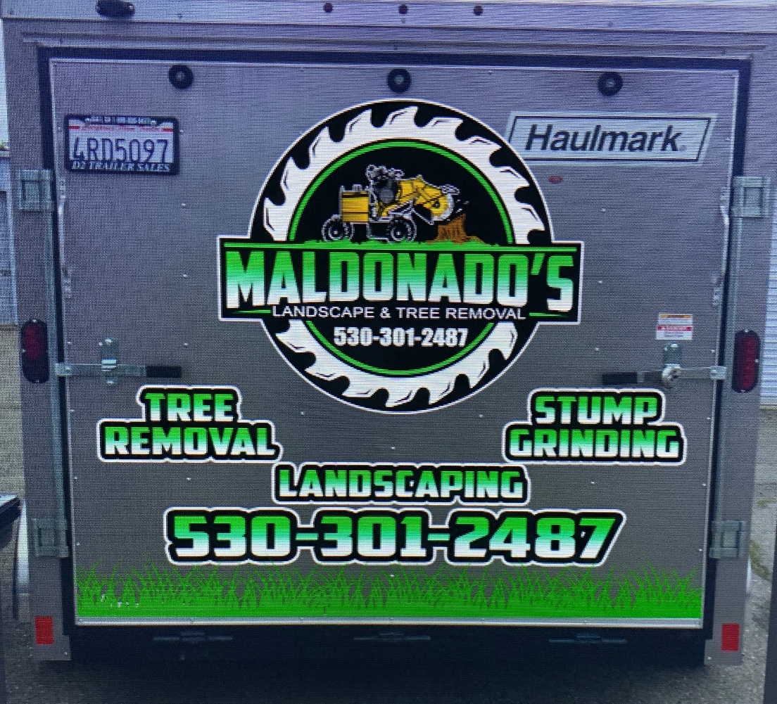 Avatar for Maldonados tree and trunk removal