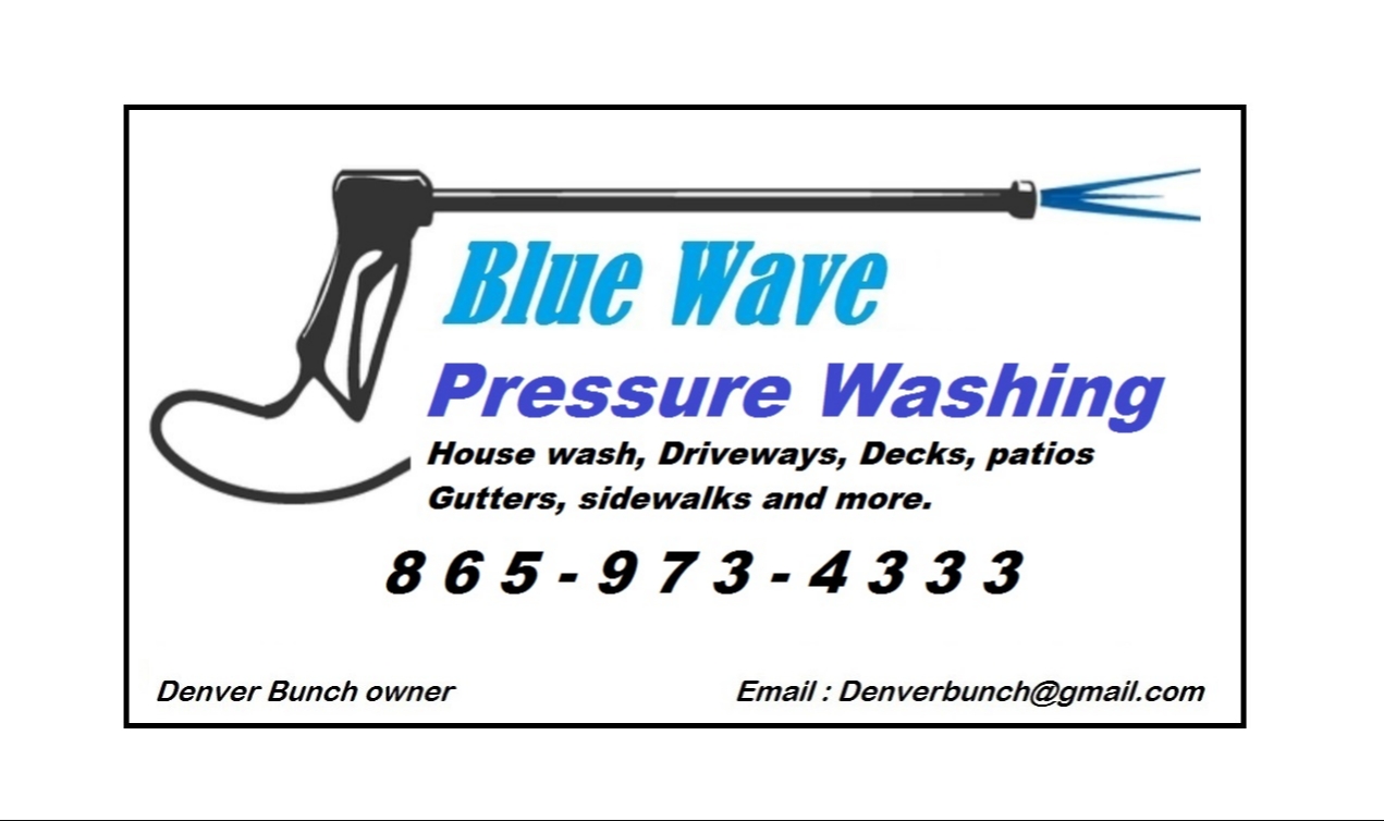 Logo for Blue wave pressure washing